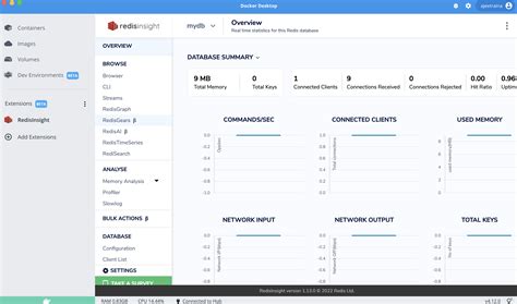 redisinsight dockerhub|run redis in docker container.